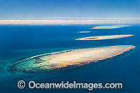 Polmaise Reef and Masthead Island Photo - Gary Bell