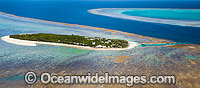 Heron Island and Wistari Reef Photo - Gary Bell
