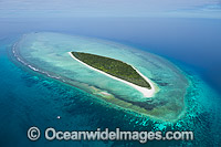 Masthead Island Reef Photo - Gary Bell