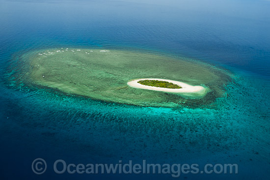 Erskine Island Reef photo