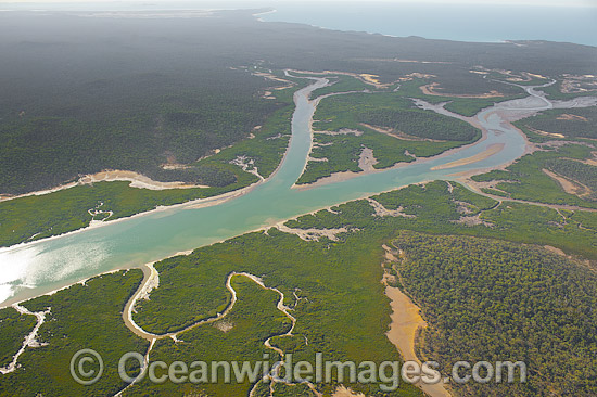 Curtis Island Mangrove wetland photo