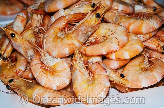 Prawn Seafood photo