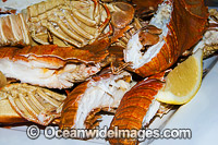 Balmain Bug Seafood Photo - Gary Bell