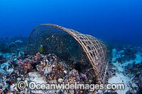 Traditonal Fish trap Philippines Photo - David Fleetham