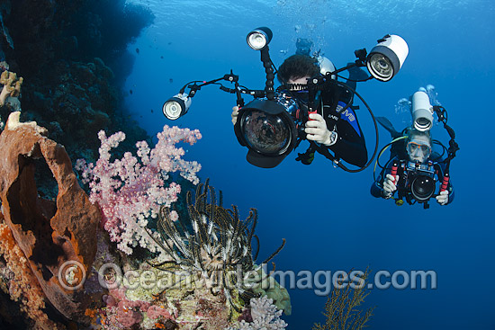 Diver photographing coral reef photo