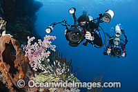 Diver photographing coral reef Photo - David Fleetham