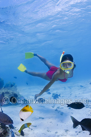 Snorkel Diver exploring Cook Islands photo