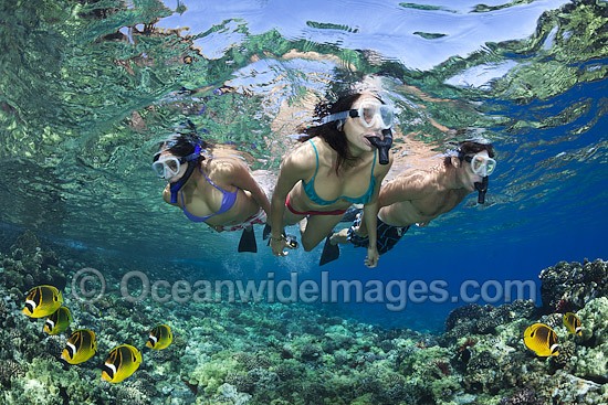 Snorkel Divers in Hawaii photo
