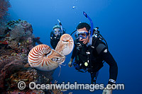 Chambered Nautilus with Divers Photo - David Fleetham