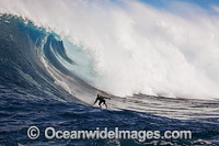 Surfer tow-in Hawaii Photo - David Fleetham