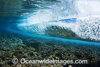 Breaking wave over reef Photo - David Fleetham
