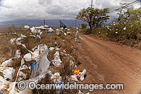 Plastic Bag Pollution Photo - David Fleetham