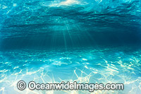 Underwater Seascape sand and sunrays Photo - Gary Bell
