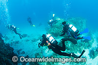 Divers exploring Great Barrier Reef Photo - Gary Bell