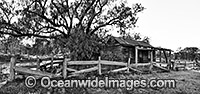 Historic Cottage Victoria Photo - Gary Bell