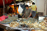 Dried Fish at Fish Market Photo - Gary Bell