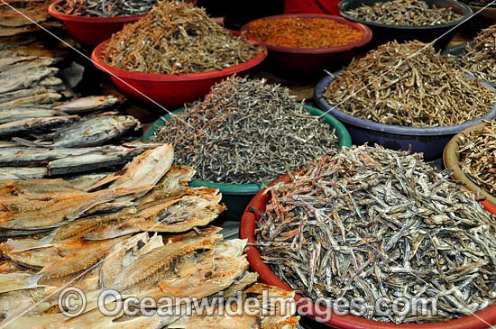 Dried Fish at Fish Market photo