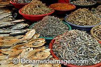 Dried Fish at Fish Market Photo - Gary Bell