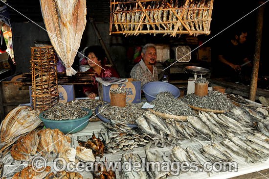 Fish Market Indonesia photo