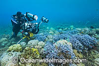 Underwater Cinema Photographer filming Photo - Gary Bell