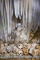 Skulls in Cave Photo - Gary Bell