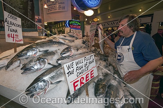Fish Market Pike Place Market photo