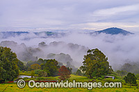 Mist in Valley Dorrigo Photo - Gary Bell