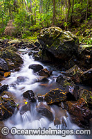 Sherwood Nature Waterfall Photo - Gary Bell