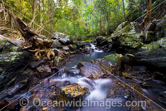 Sherwood Nature Stream photo