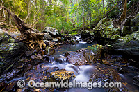 Sherwood Nature Stream Photo - Gary Bell