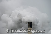 Chimney Pollution Photo - Gary Bell