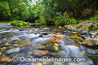 Stream Bindarri National Park Photo - Gary Bell