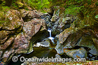 Urumbilum Rainforest Waterfall Photo - Gary Bell