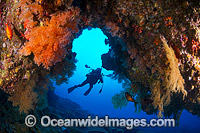 Diving Christmas Island Photo - Gary Bell