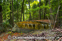 Rusty water tank Christmas Island Photo - Gary Bell