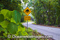 Crab warning sign Christmas Island Photo - Gary Bell