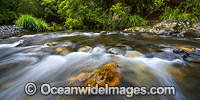Urumbilum River Bindarri National Park Photo - Gary Bell