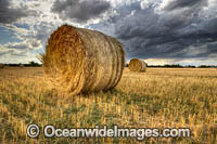 Straw Bales in field Photo - Gary Bell