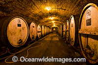 Wine Barrels at Winery Photo - Gary Bell
