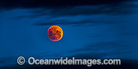 Blood Moon Photo - Gary Bell