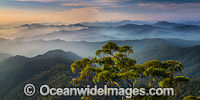 Lookout New England National Park Photo - Gary Bell