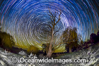 Star trails Photo - Gary Bell