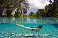 Girl swimming in pool Caribbean Photo - David Fleetham