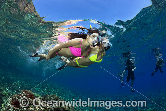 Snorkeling Hawaii photo