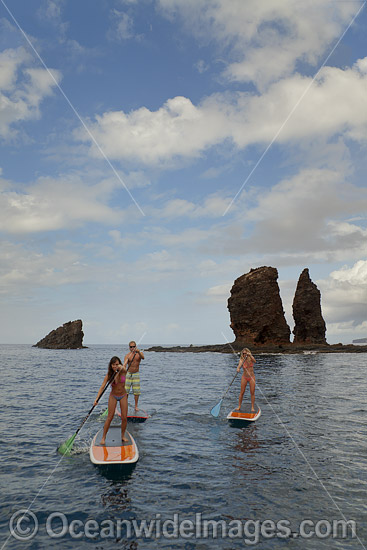 Paddle-boards Hawaii photo