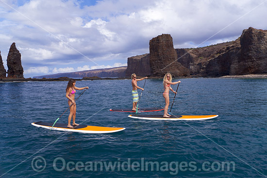Paddle-boards Hawaii photo