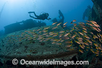 Mahi Shipwreck Hawaii Photo - David Fleetham
