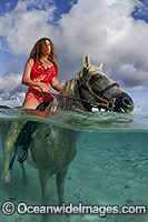 Horseriding Cook Islands Photo - David Fleetham