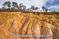 Pink Cliffs Geological Reserve Photo - Gary Bell