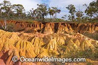 Pink Cliffs Geological Reserve Photo - Gary Bell
